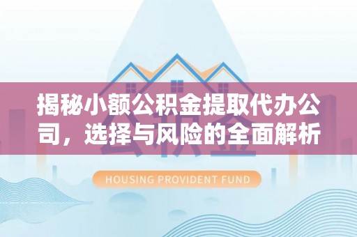 湖滨揭秘小额公积金提取代办公司，选择与风险的全面解析