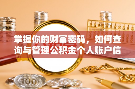 湖滨掌握你的财富密码，如何查询与管理公积金个人账户信息