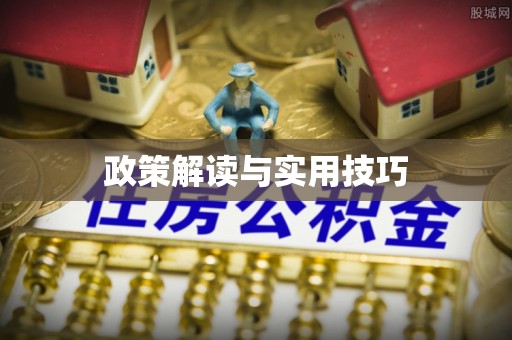 湖滨政策解读与实用技巧
