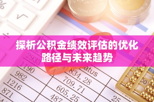 湖滨探析公积金绩效评估的优化路径与未来趋势