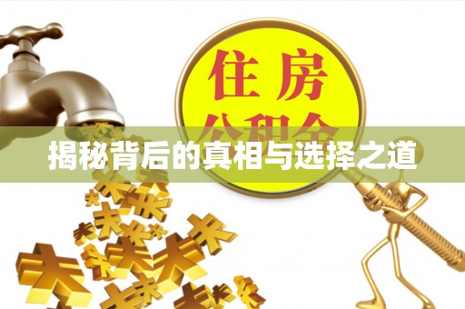 湖滨揭秘背后的真相与选择之道