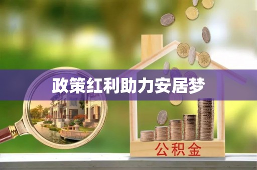 湖滨政策红利助力安居梦