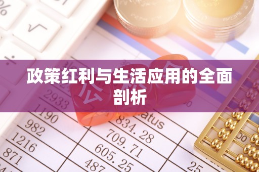 湖滨政策红利与生活应用的全面剖析