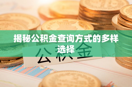 湖滨揭秘公积金查询方式的多样选择
