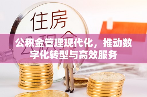 湖滨公积金管理现代化，推动数字化转型与高效服务