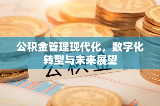 湖滨公积金管理现代化，数字化转型与未来展望