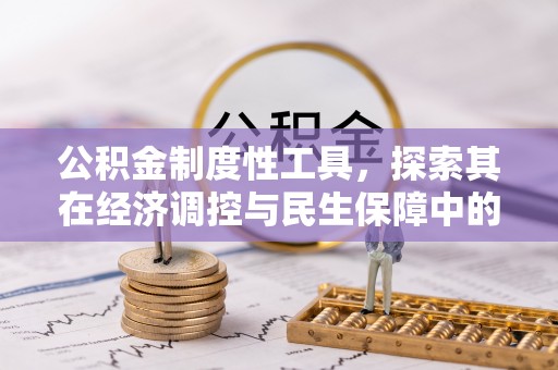 湖滨公积金制度性工具，探索其在经济调控与民生保障中的重要作用