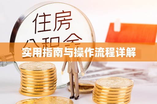 湖滨实用指南与操作流程详解