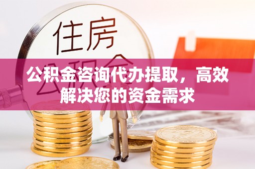 湖滨公积金咨询代办提取，高效解决您的资金需求