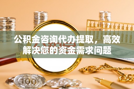 湖滨公积金咨询代办提取，高效解决您的资金需求问题
