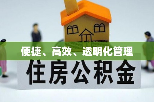 湖滨便捷、高效、透明化管理