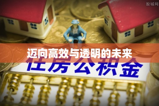 湖滨迈向高效与透明的未来