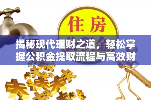 湖滨揭秘现代理财之道，轻松掌握公积金提取流程与高效财务规划