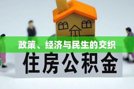 湖滨政策、经济与民生的交织