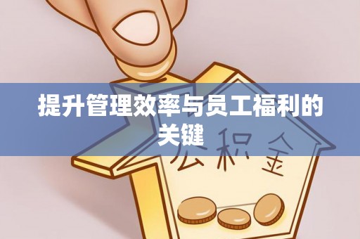 湖滨提升管理效率与员工福利的关键