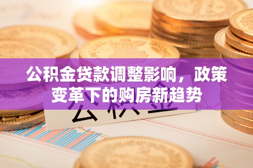 湖滨公积金贷款调整影响，政策变革下的购房新趋势