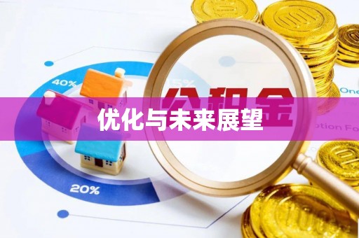 湖滨优化与未来展望