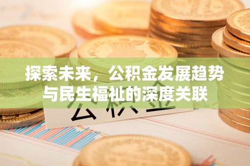 湖滨探索未来，公积金发展趋势与民生福祉的深度关联