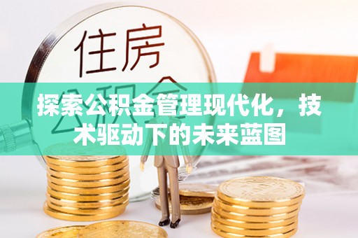 湖滨探索公积金管理现代化，技术驱动下的未来蓝图