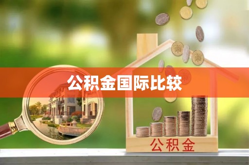 湖滨公积金国际比较