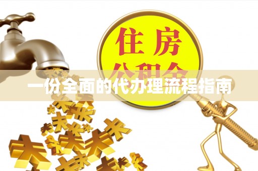 湖滨一份全面的代办理流程指南