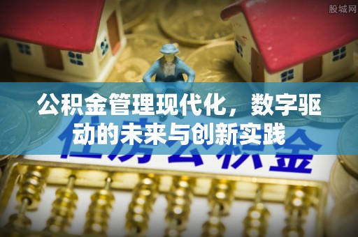 湖滨公积金管理现代化，数字驱动的未来与创新实践