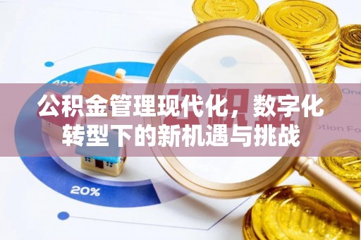 湖滨公积金管理现代化，数字化转型下的新机遇与挑战