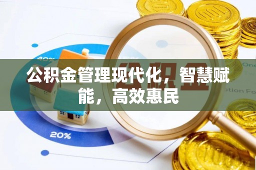 湖滨公积金管理现代化，智慧赋能，高效惠民