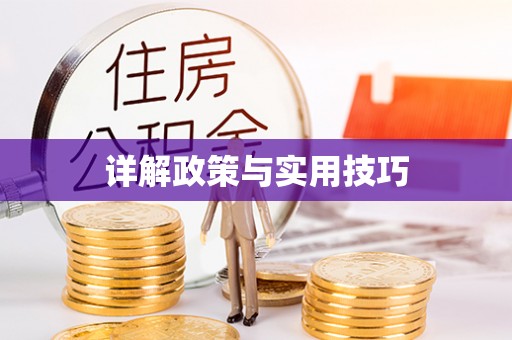湖滨详解政策与实用技巧