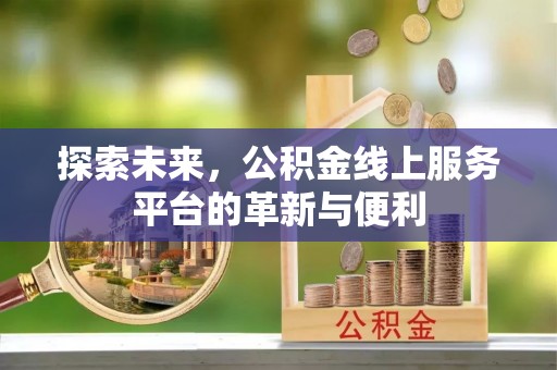 湖滨探索未来，公积金线上服务平台的革新与便利