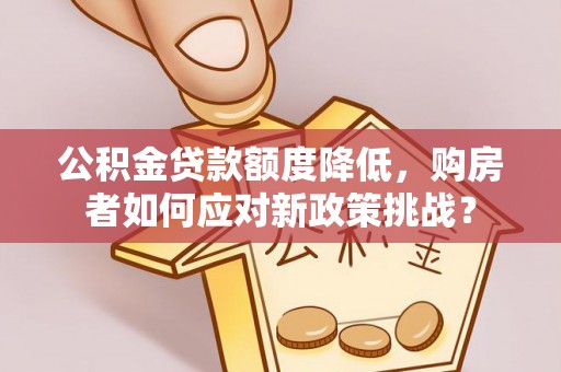 湖滨公积金贷款额度降低，购房者如何应对新政策挑战？