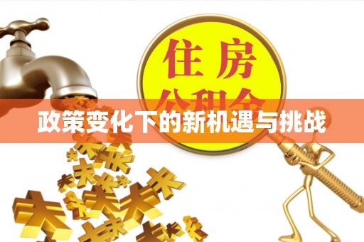 湖滨政策变化下的新机遇与挑战