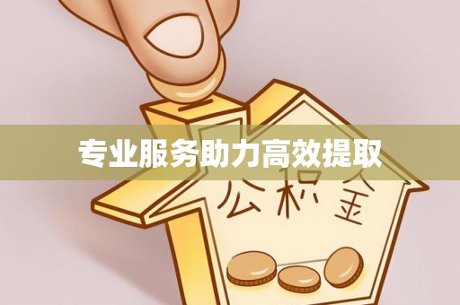 湖滨专业服务助力高效提取