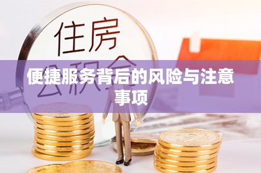 湖滨便捷服务背后的风险与注意事项