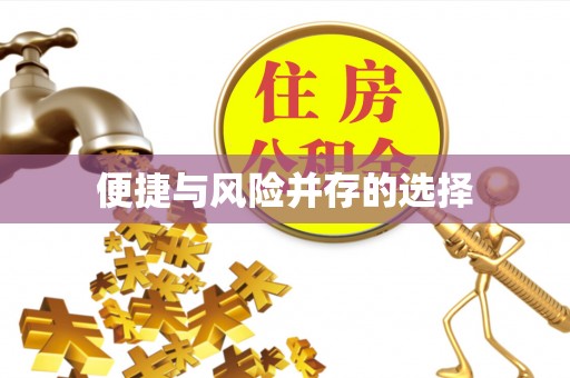 湖滨便捷与风险并存的选择