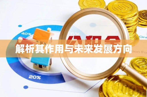 湖滨解析其作用与未来发展方向