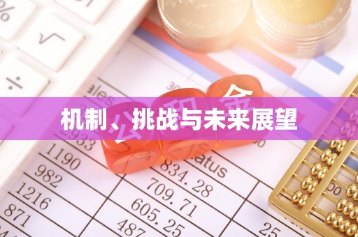 湖滨机制、挑战与未来展望