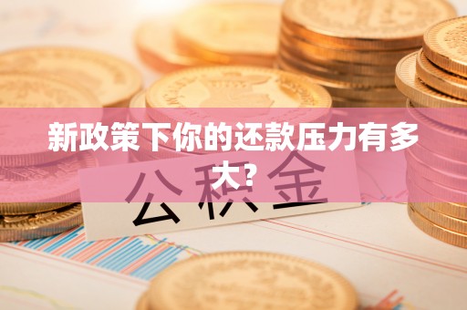湖滨新政策下你的还款压力有多大？