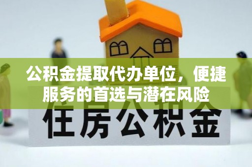 湖滨公积金提取代办单位，便捷服务的首选与潜在风险