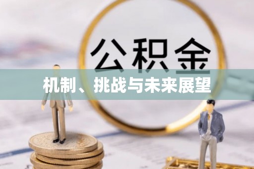 湖滨机制、挑战与未来展望